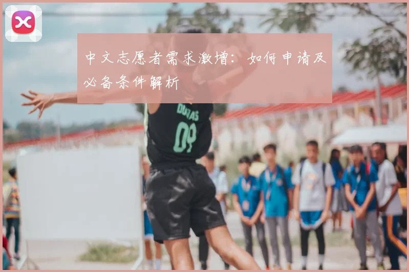 中文志愿者需求激增：如何申请及必备条件解析
